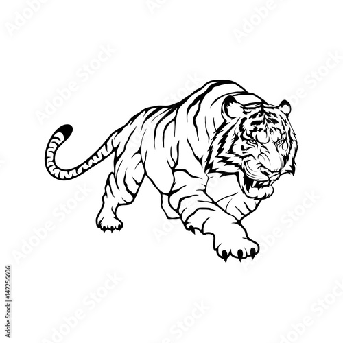bengal tiger © avtorpainter