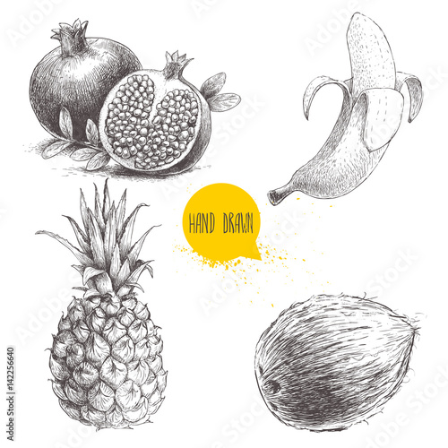 Hand drawn sketch style tropical fruits set isolated on white background. Banana, coconut, pineapple and pomegranates with seeds. Tropical fruits drawing.
