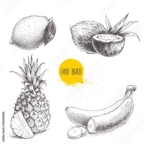 Hand drawn sketch style tropical fruits set isolated on white background. Bananas, coconuts, pineapple with slice and lemon with leaf.