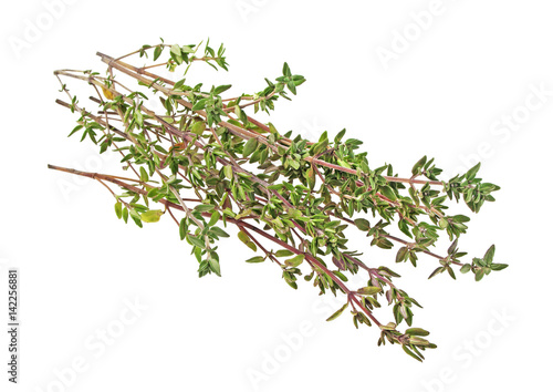 Heap of thyme sprigs on a white background, Spices