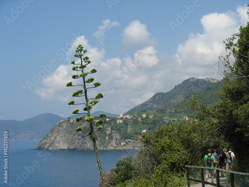 Cinque Terra Ocean View series photo