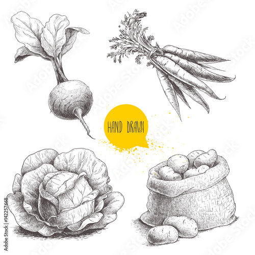 Hand drawn sketch style vegetables set. Cabbage, beet root with leafs, sack with potatoes and bunch of carrot. Farm fresh food isolated on white background.