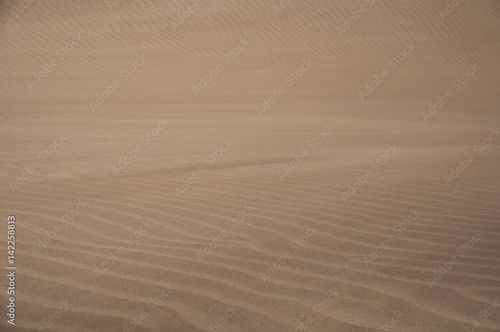 Obraz premium ARENA DE PLAYA DUNAS