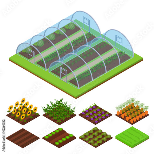 Greenhouse Isometric View. Vector