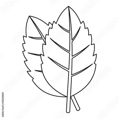 Basil leaves icon, outline style