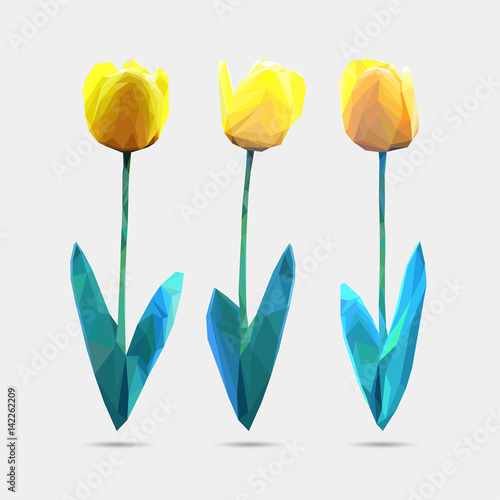 Vector set of low poly style flowers tulip. Polygon flower vector illustration. Logo design.