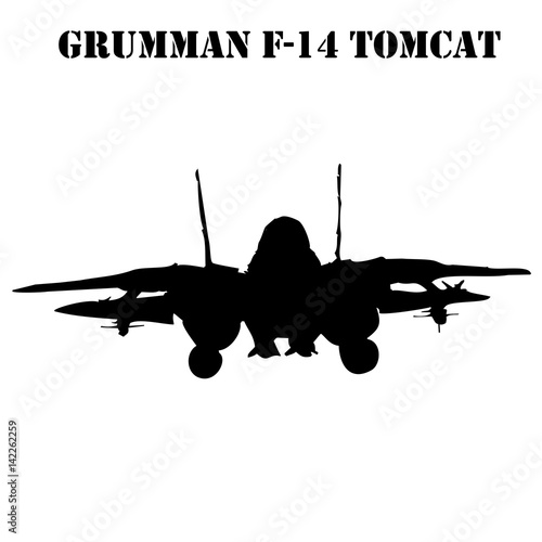Fotografie, Obraz Grumman F-14 Tomcat