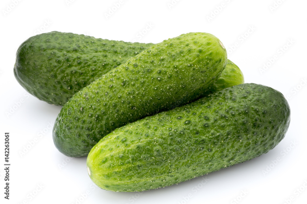 The first spring ecologically cucumbers. The first spring ecologically cucumbers.