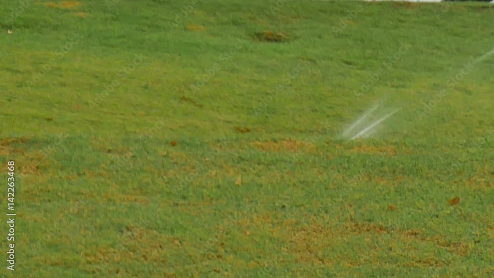 4k.water springer in garden. Springer watering the grass around 4k.water springer in garden. Springer watering the grass around