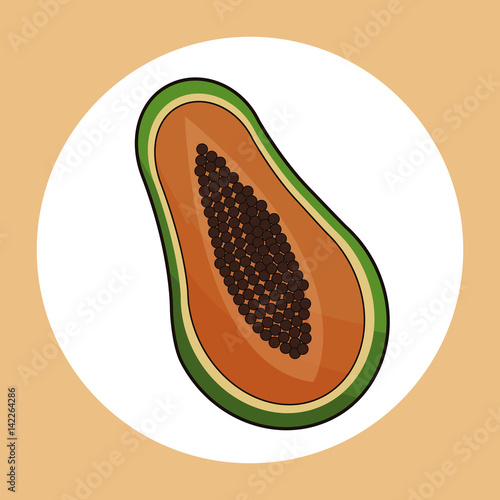 papaya healthy fresh image vector illustration eps 10