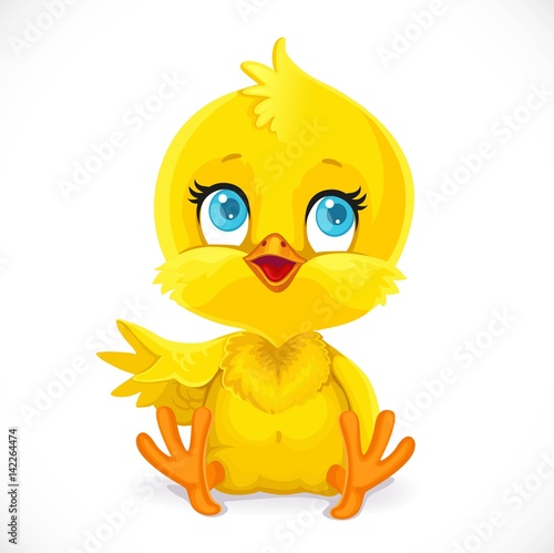 Cute baby chick sit on a white background