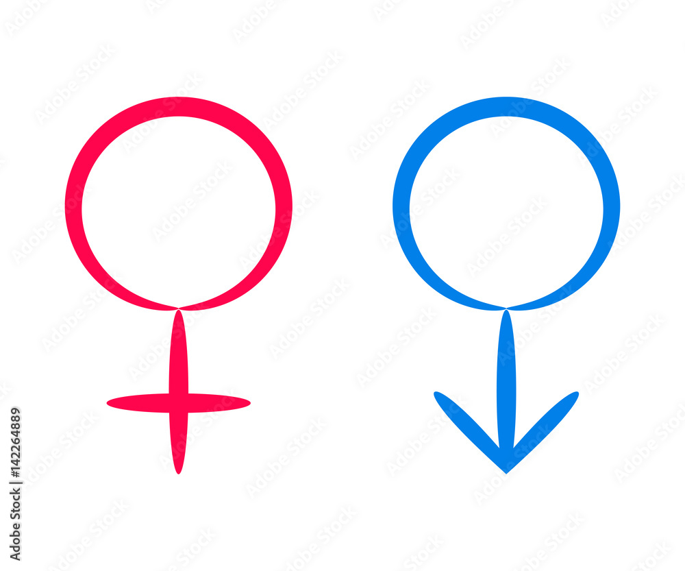 Contour gender signs, isolated vector Contour gender signs, isolated vector