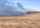 Controlled burning of wild heather on moorland