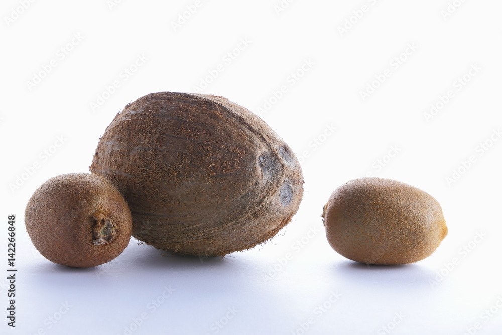 Coconut on a white background Coconut on a white background
