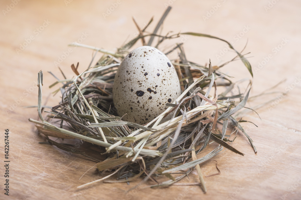 Obraz premium Quail eggs in a nest on a wooden background. easter