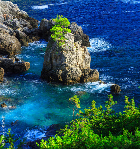 Beautiful summer panoramic seascape. View of the coastline into the sea bays with crystal clear azure water. Lonely rock with a tree on top. A small tree on top. Paleokastrica. Corfu. Greece. photo