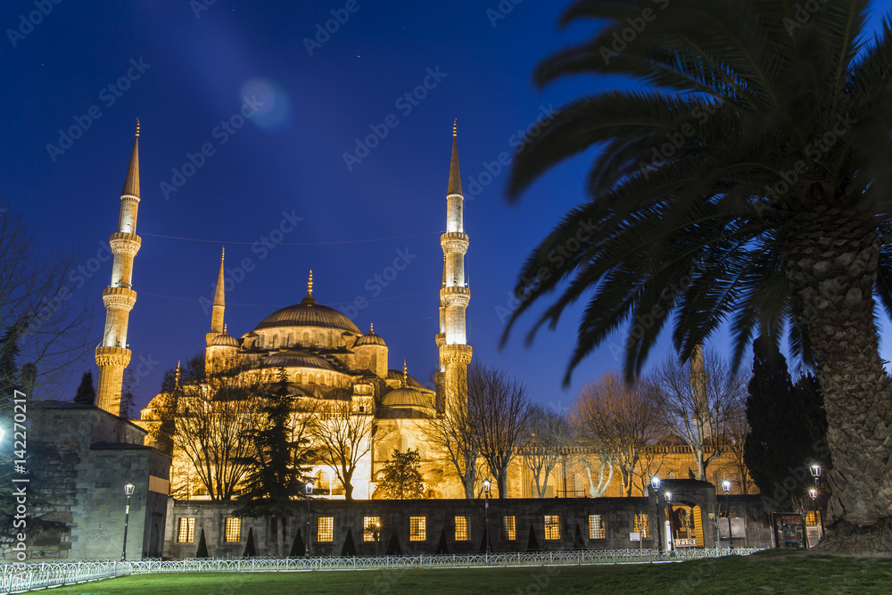 Obraz premium Sultanahmet Mosque / Sultanahmet Camii 