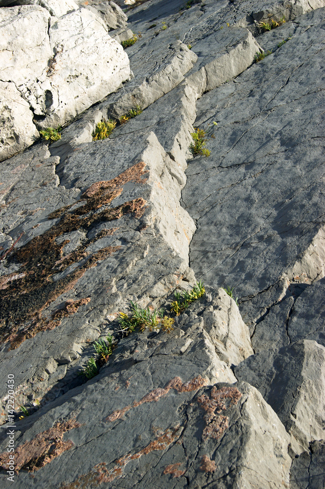 Severe cracked rocks on the sea shore Severe cracked rocks on the sea shore