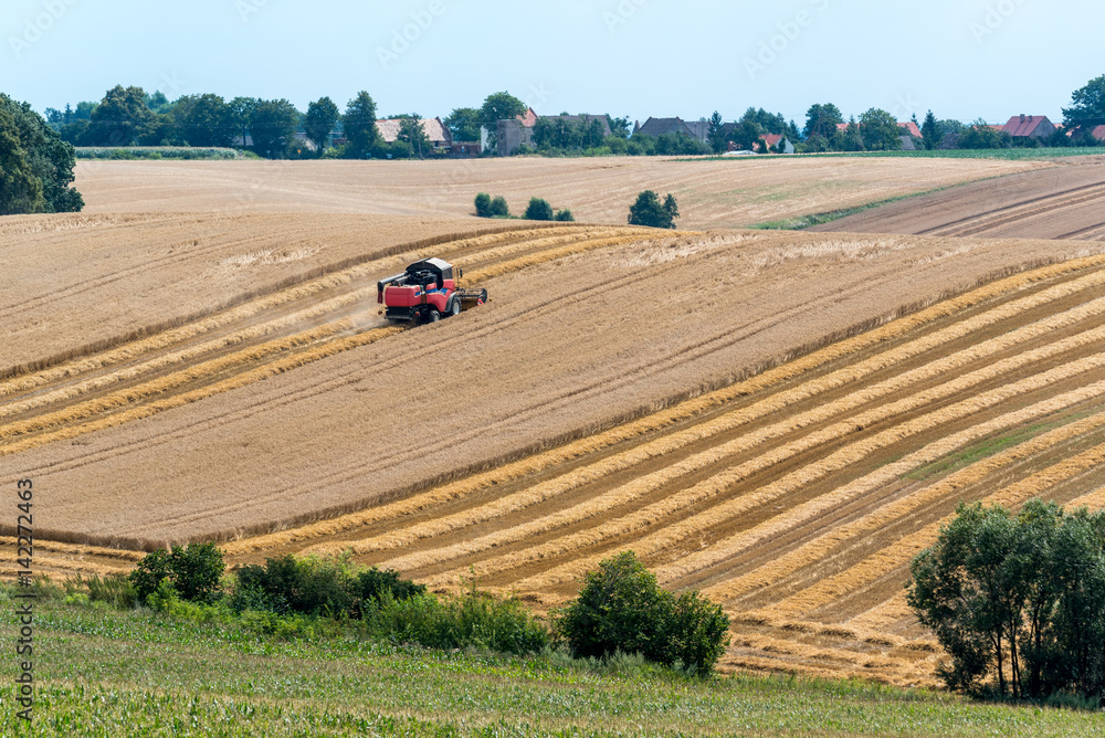 Obraz premium Harvester working on the field
