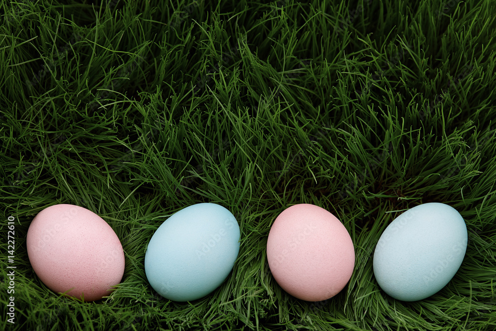 Blue and pink easter eggs in grass, top view