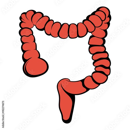 Human colon icon, icon cartoon