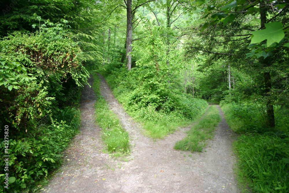 Choosing the High Road or Low Road Choosing the High Road or Low Road