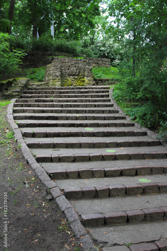 Stairway in park