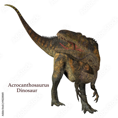 Acrocanthosaurus Dinosaur Tail - Acrocanthosaurus was a carnivorous theropod dinosaur that lived in North America in the Cretaceous Period. © Catmando