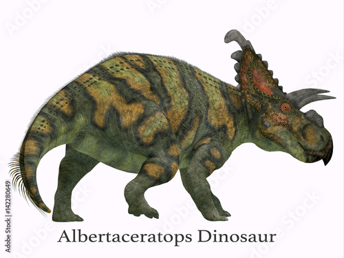 Albertaceratops Dinosaur Tail with Font - Albertaceratops was a herbivorous Ceratopsian dinosaur that lived in Alberta, Canada in the Cretaceous Period. © Catmando