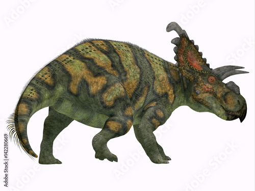 Albertaceratops Dinosaur Tail - Albertaceratops was a herbivorous Ceratopsian dinosaur that lived in Alberta, Canada in the Cretaceous Period. © Catmando