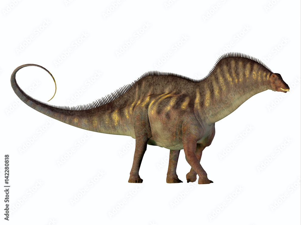 Fototapeta premium Amargasaurus Side Profile - Amargasaurus was a herbivorous sauropod dinosaur that lived in Argentina in the Cretaceous Period.