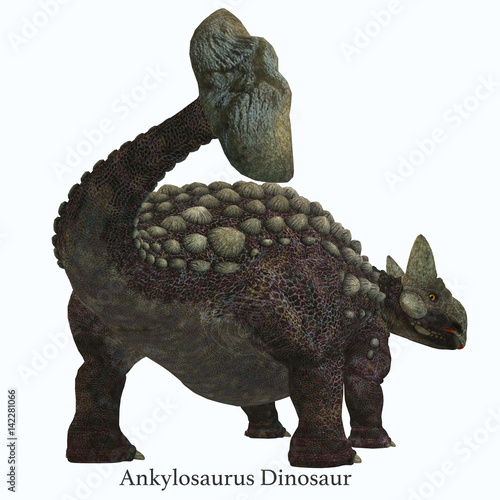 Ankylosaurus Dinosaur Tail with Font - Ankylosaurus was a herbivorous armored dinosaur that lived in North America in the Cretaceous Period. photo