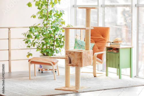 Cat tree in room interior