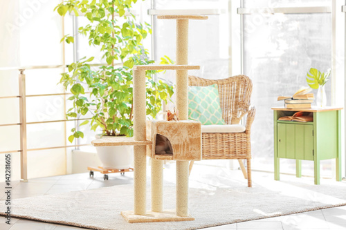 Fototapeta Naklejka Na Ścianę i Meble -  Cute funny cat and tree in room