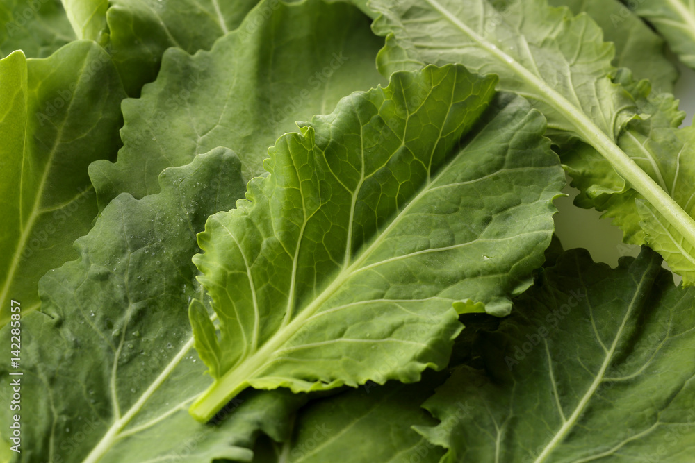 ケール Kale ケール Kale