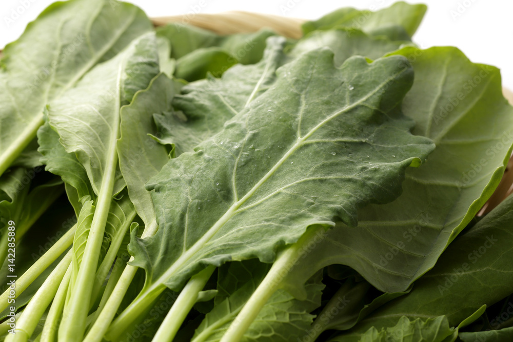 ケール Kale ケール Kale