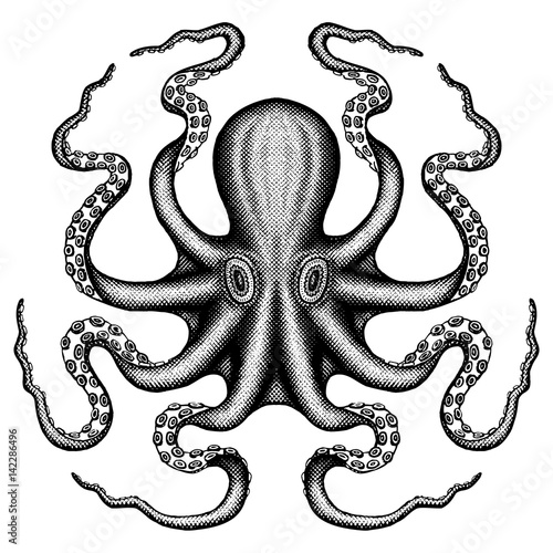 Octopus Sea Monster in a cross hatched style