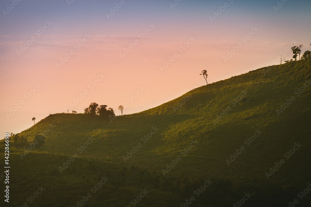 Landscape scenery of green valley, hill, grassy mountain in Phu Soi Dao, Thailand..