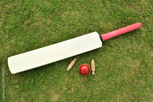 Bild auf Leinwand Cricket bat, ball and bails on cricket pitch