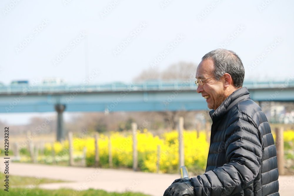 菜の花畑 シニア男性 菜の花畑 シニア男性