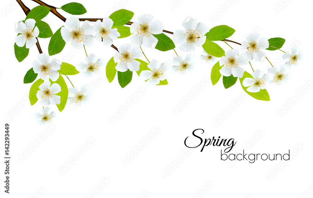 Fototapeta premium Spring background with white flowers. Vector.