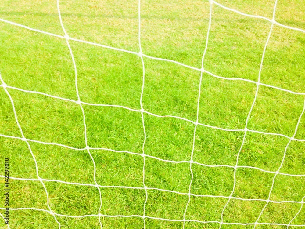 Soccer football net with green grass background