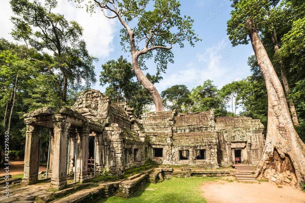  Ta Prohm temple in Angkor near Siem Reap in Cambodia