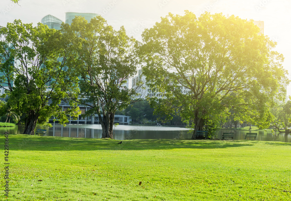 Obraz premium Beautiful Public green park at Vachirabenjatas Park (Rot Fai Park) Bangkok, Thailand
