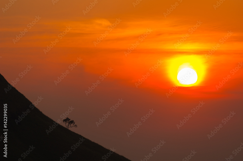 Sunset in mountains,Tree silhouette with scenic sunset sun over colorful sky background. Sunset in mountains,Tree silhouette with scenic sunset sun over colorful sky background.