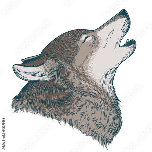 Vector illustration of a howling wolf, engraving. Print for T-shirts.