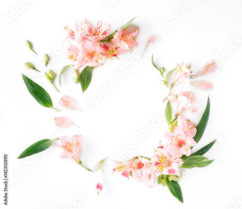 Frame with alstroemeria  leaves and petals on white background