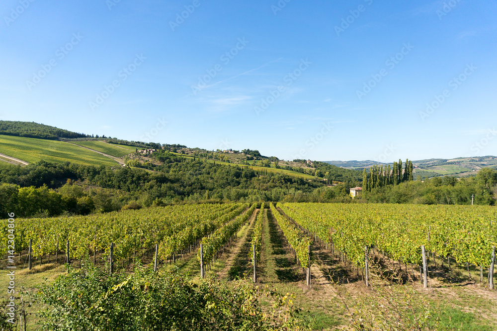 Rural Tuscany landscape of vineyards and green hills