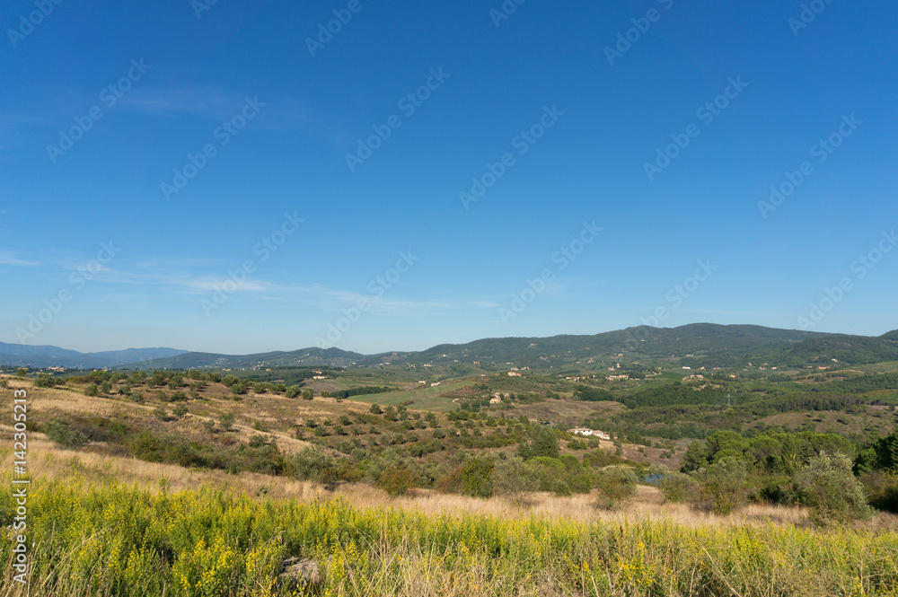 Rural Tuscany landscape of olive trees and green hills