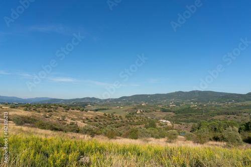 Rural Tuscany landscape of olive trees and green hills